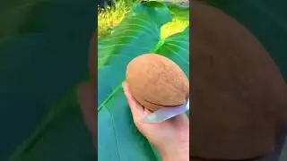 Sapota fruit cutting #shorts #viral #ytshorts