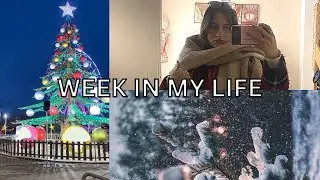 A week in the life of a French law student during finals
