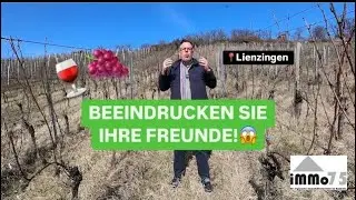 Traum vom eigenen Wein &ndash; Weinberg in bester S&uuml;dhanglage! 🍇🌞