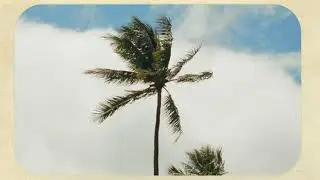 Birthday Picnic | Hawaii | Canon R5C