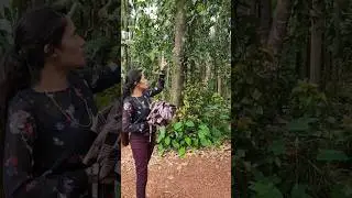 Must Visit place in Goa #shorts #day38 #ytshorts #spicegarden #youtubeshorts #indianspices #kokum