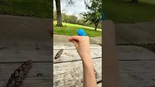 NATURE ATTACKS