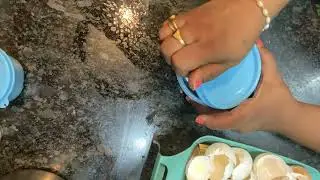 Calcium for pets and plants from kitchen waste