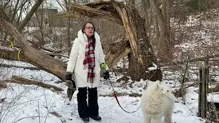 A walk and a chat in Small's Creek Ravine with Landscape Architect Sheila Boudreau and Sian David