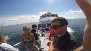 Whaling Adventure 2016