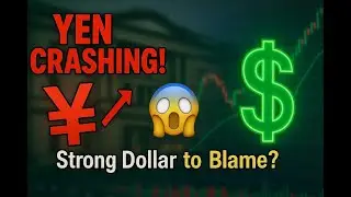 Why the Japanese Yen Is Crashing in 2025 | Strong Dollar Explained Simply