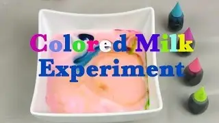 Experiments for kids you can do at home Color changing milk experiment Liz&Ethan