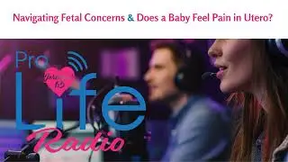 Navigating Fetal Concerns | Does a Baby Feel Pain in Utero?