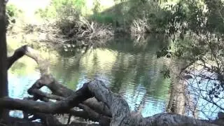 The Pinjarra Massacre