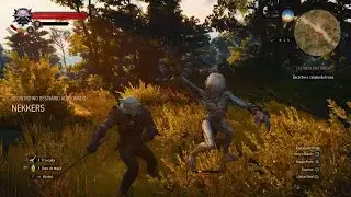 The Witcher 3: Wild Hunt - Complete Edition_20250516124910