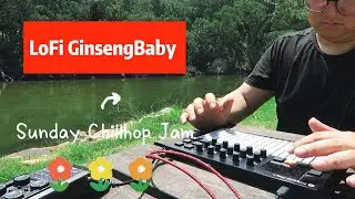 Chillhop jam with Polyend Play plus #dawless #lofi #polyendplay
