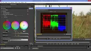 How to use Reference Monitor in Adobe Premiere - Quick Tutorial