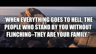 Short Family Quotes and Sayings  | WhatsApp Status | Shorts | Musical Quotes Stars