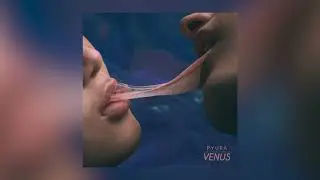 Pyura - Venus (feat. Lucas & The Woods)