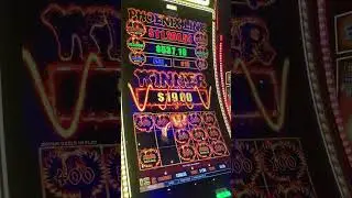 PHOENIX WINS FAST! #slots #casino #slotmachine #slotwin #jackpot #bonusfeature #casinogame #gambling