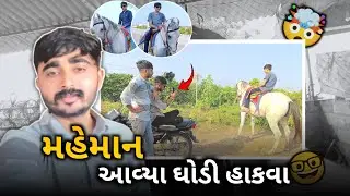 મહેમાન આવ્યા ઘોડી હાકવા❤️‍🔥#vlog #vlogging 