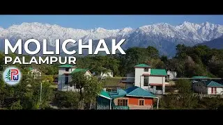 Molichak | A Beautiful Village in Palampur | Beauty of Himachal | Pahari Wanderer | DJI OSMO ACTION