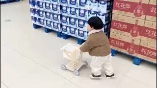 KIENVY Wooden Shopping Pushcart for Kids Grocery Toy Pretend Play Set by WISHLAND