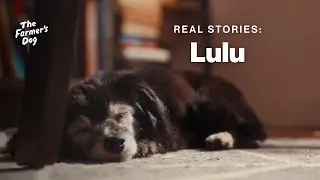 The Farmer's Dog Testimonials: Lulu