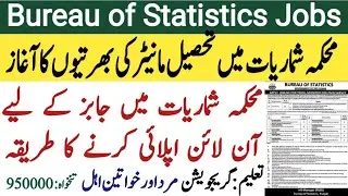 Bureau of Statistics Jobs 2025 How to Apply Online | Tehsil Monitor PSER Survey |Pakistan Government