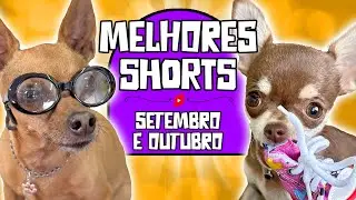 OS MELHORES SHORTS DE SETEMBRO E OUTUBRO 2024 DOS PEQUENOS PRÍNCIPES | MEGA COMPILADO