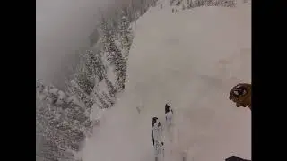 HARVEST POW COW skis