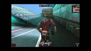 Wolfteam: Funny Guardian Bug