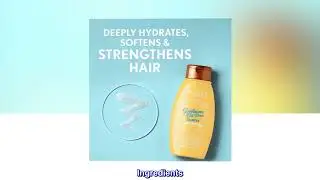 Aveeno Deep Moisturizing Sunflower Oil Blend Shampoo with Oat for Dry Damaged Hair, Dye, Paraben