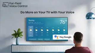 Hands free voice control activation in Vision Google TV.