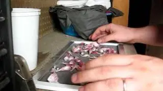 How To: Drying Garlic