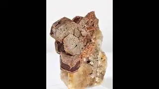 Bastnasite on Matrix - Pakistan | Fine Art Minerals | Bastnasite |