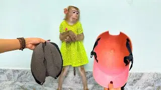 Monkey Kaka was punished by his mom for damaging her helmet.