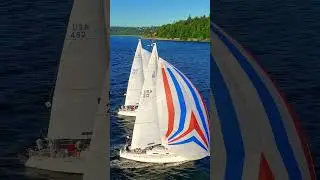 Most Beautiful Moment of the Regatta | Puget Sound Sailing Magic &ndash; DJI Mini 4 Aerial View