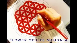 How to Draw ✎ Flower of Life Mandala  | Colorful Geometric pattern art |( Step by Step explained)