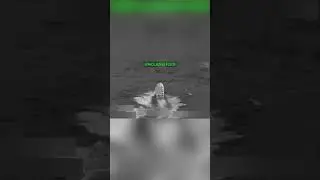 US strike takes out suspected drug boat in Pacific
