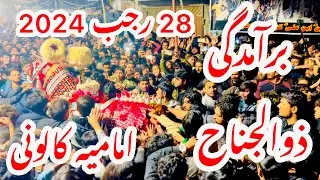 28 Rajab 2024 | Bramdagi Zuljanah | Imamiya Colony | Qafla Imam Hussain a.s