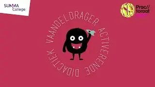 Practoraat Activerende Didactiek | Vaandeldragers 2017-2018