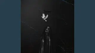 Violence