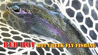 Red Hot Hot Creek Fly Fishing