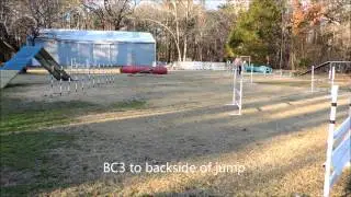 STRUT   learning blind crosses with Rosanne DeMascio