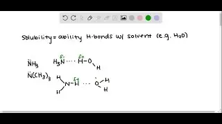 Account for the fact that most low-molecular-weight amines are very soluble in water, whereas lowmo&hellip;
