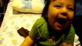 MOV03408