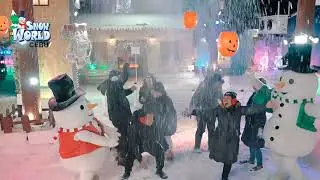 Snow World Cebu in Anjo World Theme Park