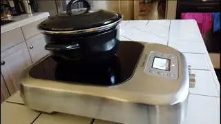 Wonton with Breville Control Freak
