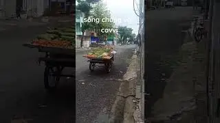 sống chung với covvi...