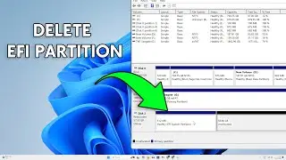 How To Delete or Remove EFI System Partition on Windows 11/10