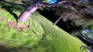 LeDrib Freestyle Contest Entry