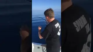 P&ecirc;che d'un pagre au Tenya  en direct par Guillaume Auger