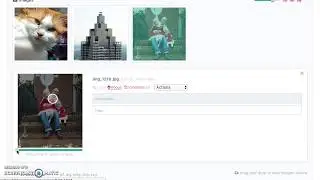Photo focus point selection in ProcessWire
