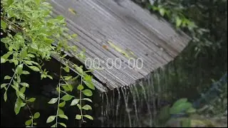Heavy Rain on Old Roof in the Forest 🌧️ | Deep Sleep ASMR, Stress Relief, No Talking